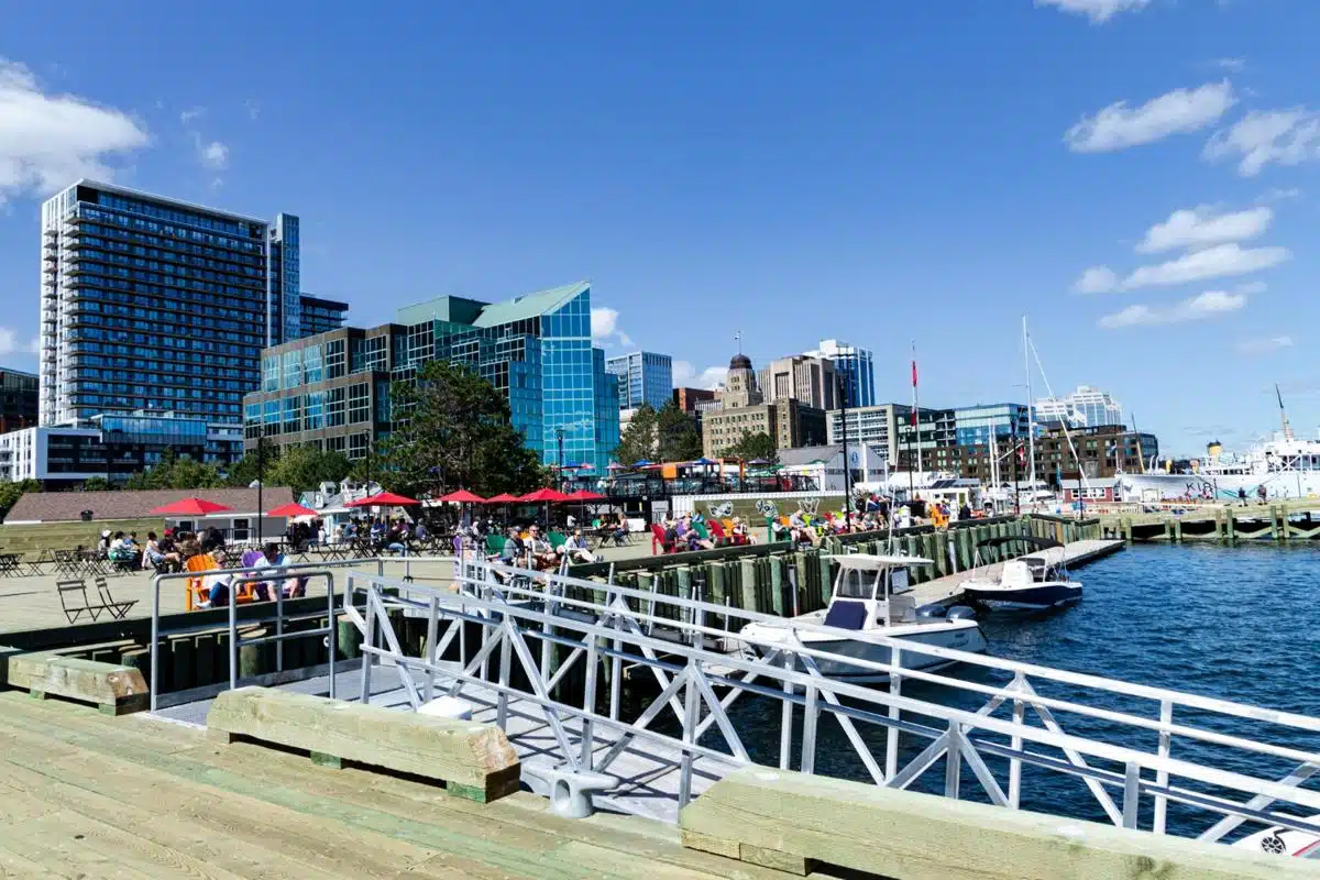 Vibrant scene at the Halifax waterfront on a sunny day, with people enjoying outdoor seating under red umbrellas, overlooking the harbor. Modern office buildings and historic architecture form the backdrop, with boats docked along the wooden piers and a bright blue sky above.
